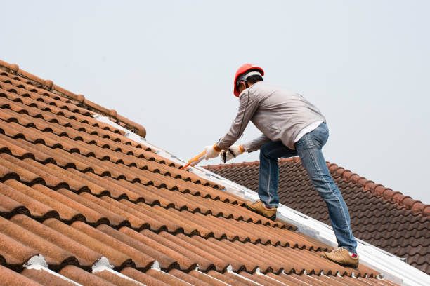 Best Gutter Replacement  in Lakeside, MT